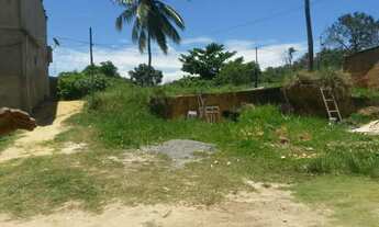 Imagem 4: Madre de Deus Terreno