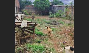 Imagem 2: Cajado imóveis vende um lote no Vale do Sol