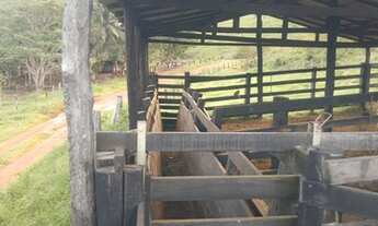 Imagem 6: Terra 14 alqueires pego imóvel na negociação? 50 km de Parauapebas?