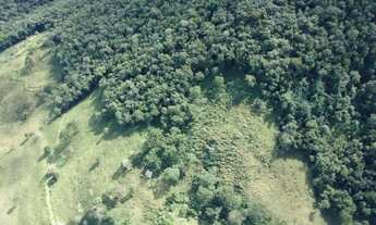 Imagem 6: Linda área no St.Bárbara 3 alqueires