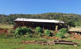 Imagem 7: Fazenda/Sítio/Chácara para venda com 120000 metros quadrados em Rural - São Francisco de P