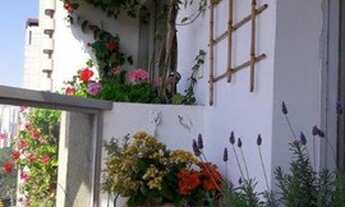 Imagem 5: Apartamento para Locação em São Paulo, Indianópolis, 2 dormitórios, 3 banheiros, 2 vagas