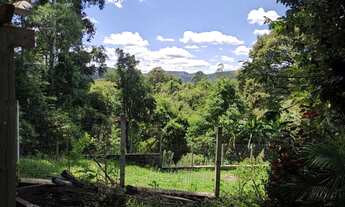 Imagem 6: Casa para Venda em Nova Petrópolis, São Jacó, 2 dormitórios, 1 banheiro
