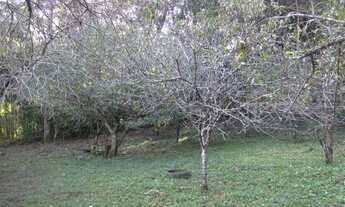 Imagem 6: Área rural 5 hectares em Santa Terezinha - SC