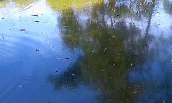 Imagem 3: Sítio 02 alqueires