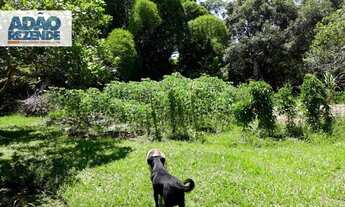 Imagem 4: Sítio com 6 dormitórios à venda, 7000 m²- Vale Das Pedrinhas - Guapimirim/RJ