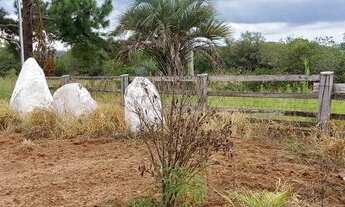 Imagem 3: Lindo sítio com casa, todo arborizado próximo do asfalto em Águas Claras