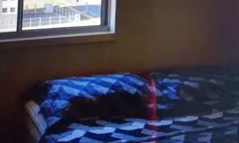 Imagem 3: Vendo Ágio apto 1 qto , QR 305 samambaia