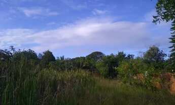 Imagem 2: Terreno em Monte Gordo