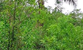 Imagem 5: Terreno 7 barras c/ cachoeira- aprox 10 alqueires