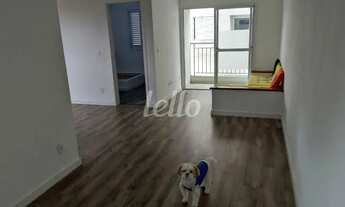 Imagem 5: Santo André - Apartamento Padrão - Vila Alto de Santo André