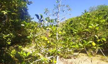 Imagem 4: Terreno Próximo a Cachoeira em Ibiúna!