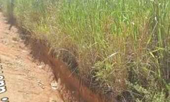 Imagem: Terreno alto, no outeiro