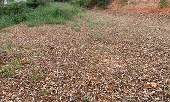 Imagem 6: Área de 20mil metros em Pedra Azul