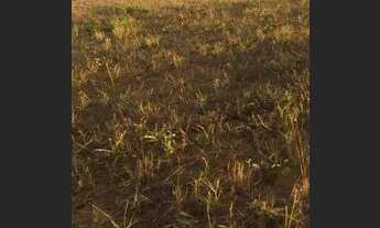 Imagem 2: Vendo ágio de um lote