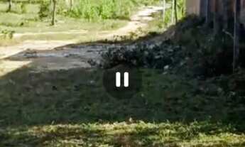 Imagem 2: Lote em Lagoa Redonda