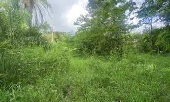 Imagem 5: Chácara dentro de Aparecida de Goiânia com água