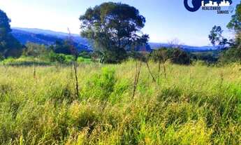 Imagem 6: 29an.LOTES COM QUALIDADE