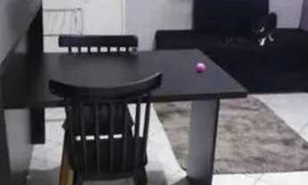 Imagem: CASA PARA VENDA NA SACRAMENTA