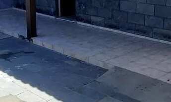 Imagem 2: Alugo casa no multirao