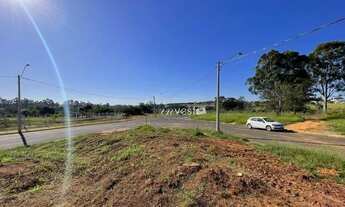 Imagem 9: Terreno à venda, 333 m² por R$ 141.916 - Miravista - Mirassol/SP