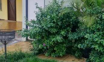 Imagem: Casa de condomínio para venda com 150 metros