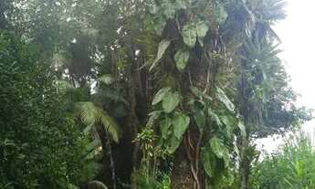 Imagem 5: Linda Chácara em Antônia Próxima ao Rio do Nunes