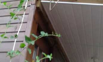 Imagem 2: Alugo chalé anual