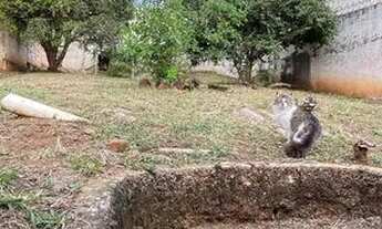 Imagem 2: Lote/Terreno para venda com 300 metros quadrados em Vila Rezende - Piracicaba - SP