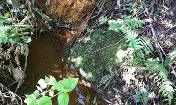 Imagem 5: Sítio de 1 alqueire com nascente na Serra da Mantiqueira - Córrego do Bom Jesus