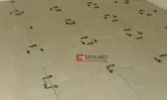 Imagem 6: Apartamento com 2 dormitórios para alugar, 57 m² por R$ 1.892,00/mês - Jardim Dona Irma