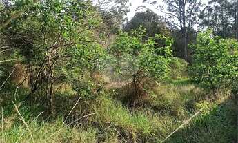 Imagem: Terreno amplo perto da avenida Santana em