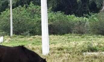 Imagem 3: Terreno à venda no Loteamento Real Park por R$550.000,00