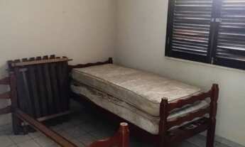 Imagem 5: Ariramba jurubeba mosqueiro