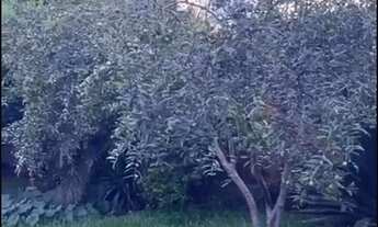 Imagem 3: Lote/Terreno Terreno / lote com venda por R$110.000