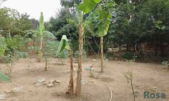 Imagem 3: Terreno para venda, todo Murado, Coophema