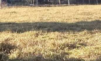 Imagem 3: Chácara para pessoas de bom gosto!