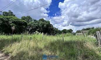 Imagem 6: Chácara com 2 ha de terra no São Victor Cohab