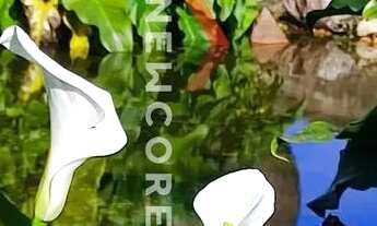 Imagem 3: Lote em condomínio em Estrada Bento Osvaldo Trisch - Pedancino - Caxias do Sul/RS