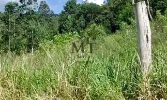 Imagem 6: Área de terra bairro Picada Holanda, Picada Café. RS Ref.:171