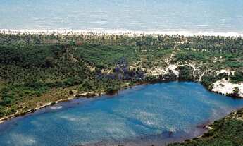 Imagem: Área com 6.000.000 m² - 1,4 km frente