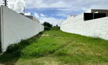 Imagem 2: Lote no Mosqueiro