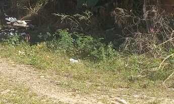 Imagem 2: Vende-se lote atrás do sonho meu no pedra 90