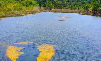 Imagem 3: Terreno Chácara Lote Sítio Cachoeira do Castanho Iranduba 39 Hectares Igarapé Rio Lago Fin