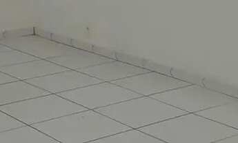 Imagem 3: ALUGO DUAS SALAS INTERLIGADAS NO CONDOMÍNIO CONNECTION OFFICES MADUREIRA