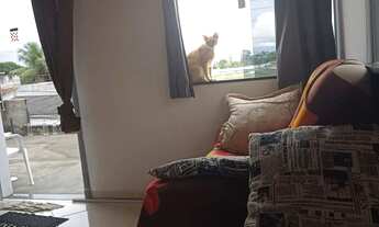 Imagem: Vendo um AP 3/4 são Felipe