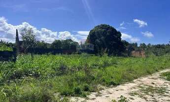 Imagem 4: OPORTUNIDADE - Área 1.000 m² - Chácara Mucuri /Massagueira ( Rodovia AL 101 ) - Marechal D