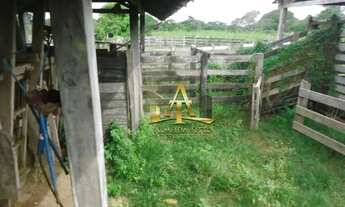 Imagem 7: Fazenda à venda - Zona Rural - Poconé - MT