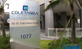 Imagem 6: COMERCIAL - VILA CARRÃO - SP