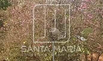 Imagem 7: Casa (térrea em condominio) 4 dormitórios/suite, portaria 24 horas, em condomínio fechado